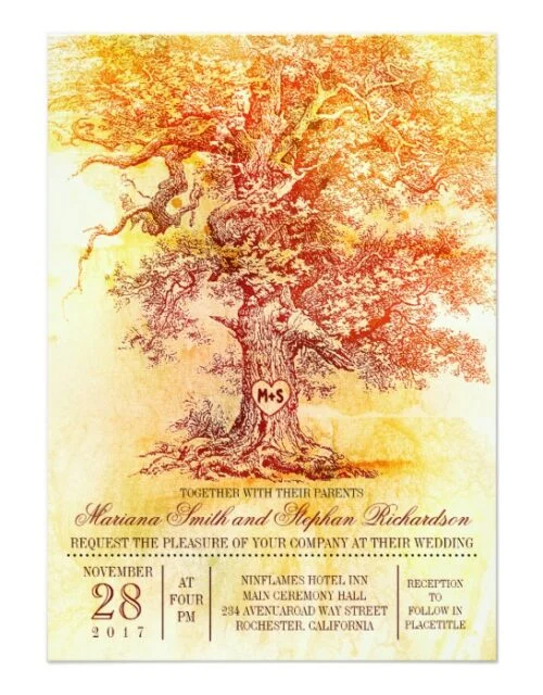Oak Tree Wedding Collection
