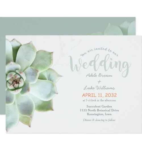 Succulent Garden Cactus Wedding