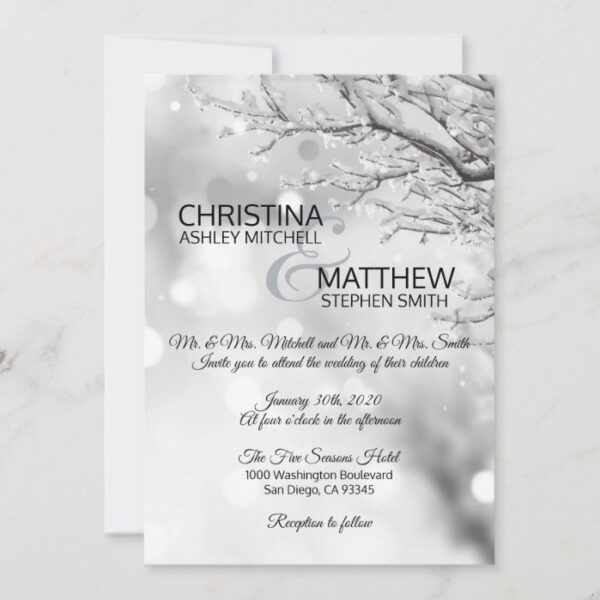 Elegant Winter Wonderland Snow Snowflakes WEDDING Invitation