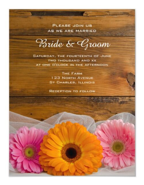 Rustic Daisy Trio Country Barn Wedding Invitation