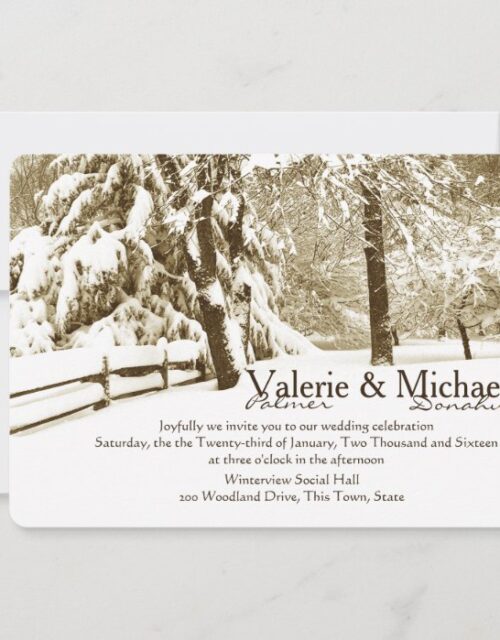 Winter Serenity Wedding Invitation