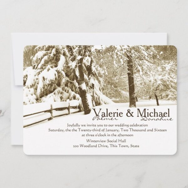 Winter Serenity Wedding Invitation